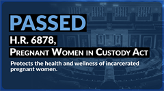 women custody