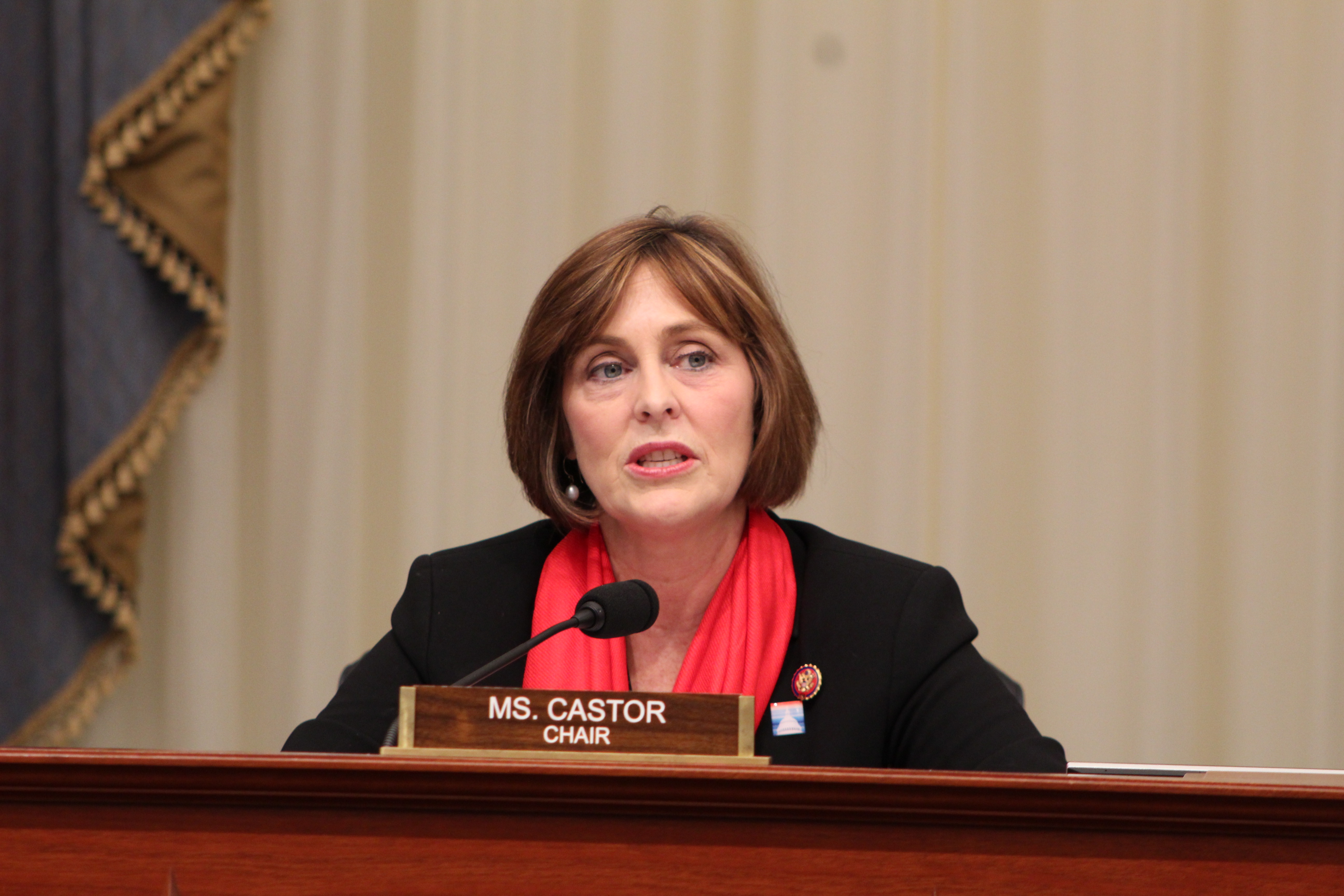Representative Kathy Castor (D-FL)